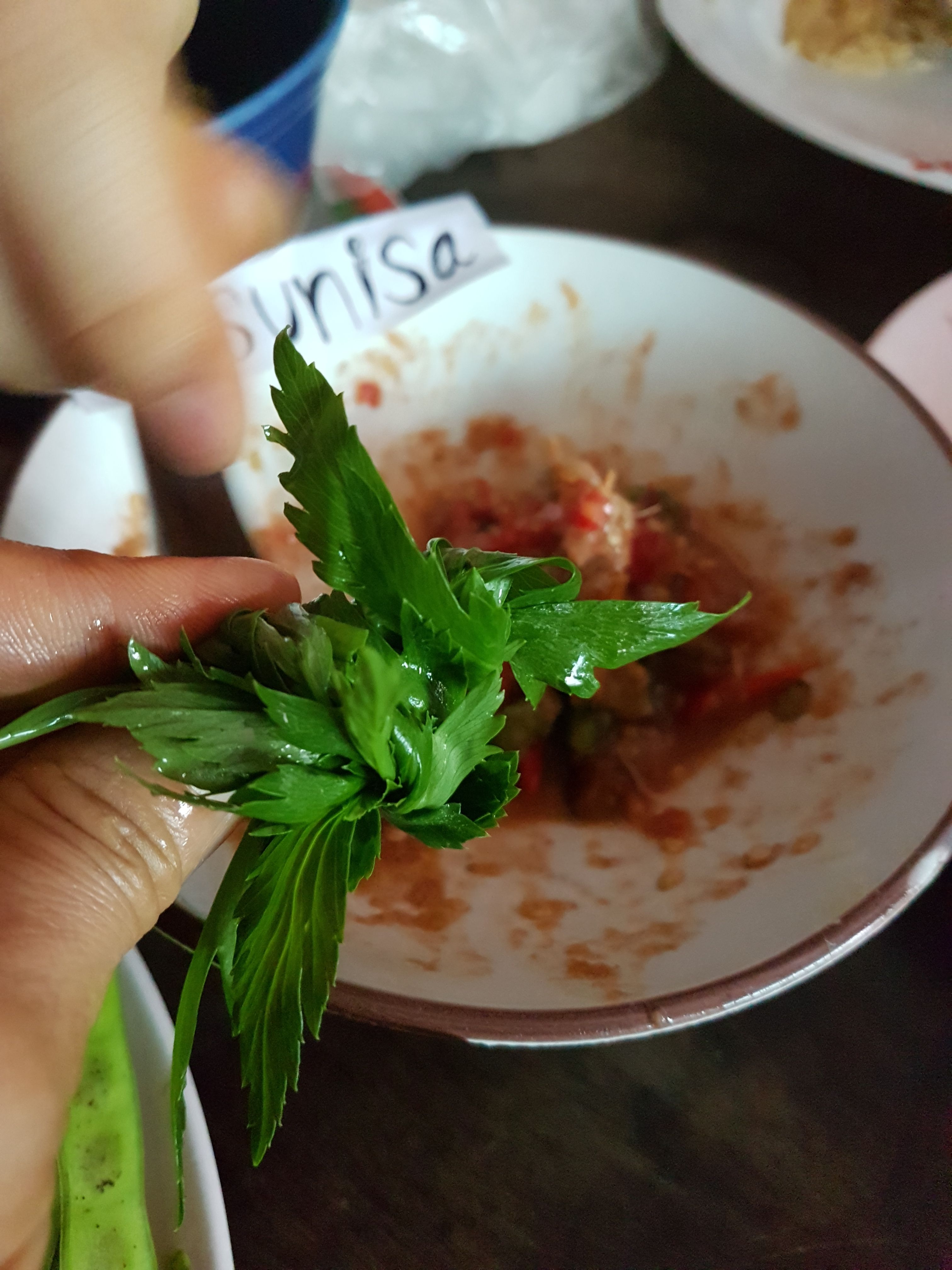 20170922_130235.jpg