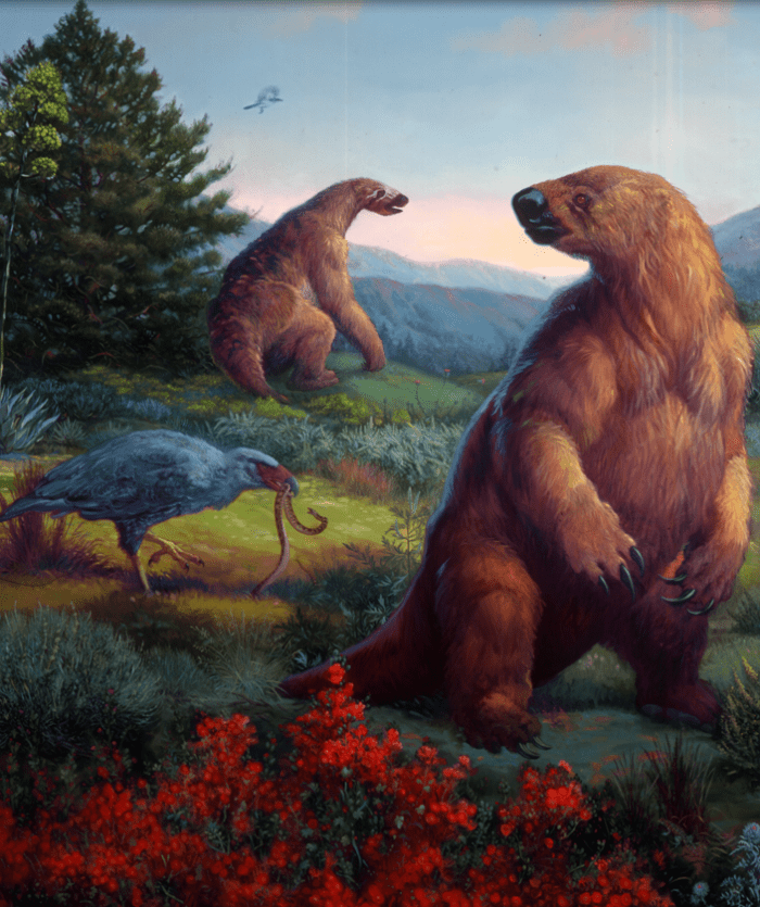 ground-sloth-colorful.png