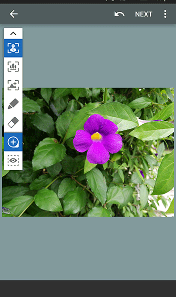 Teech-2.gif