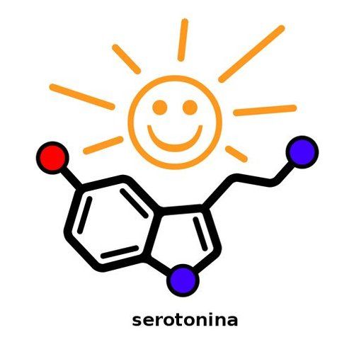 serotonina2.png