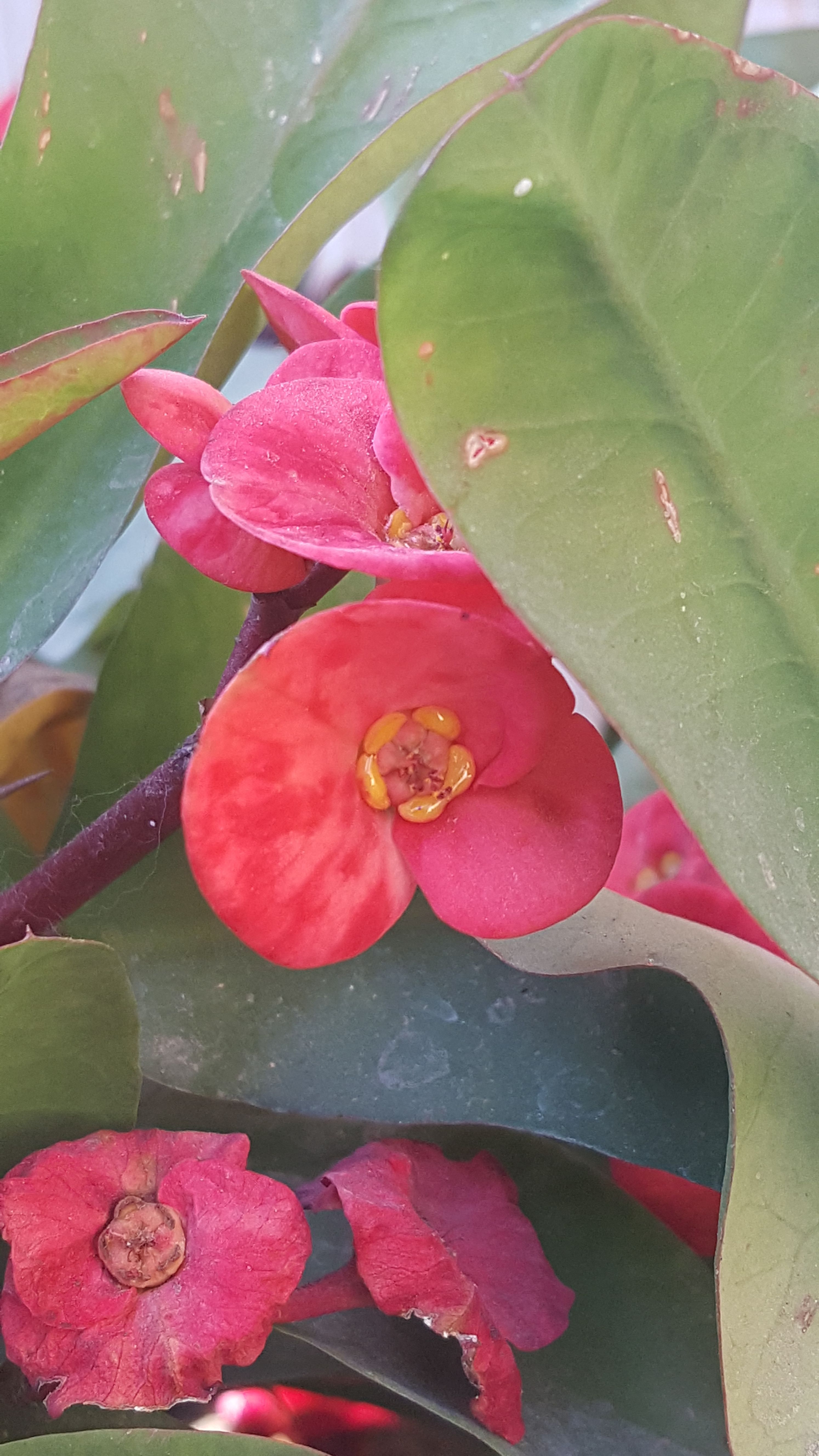 20180115_153820.jpg