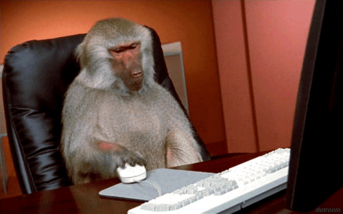 giphy (3).gif