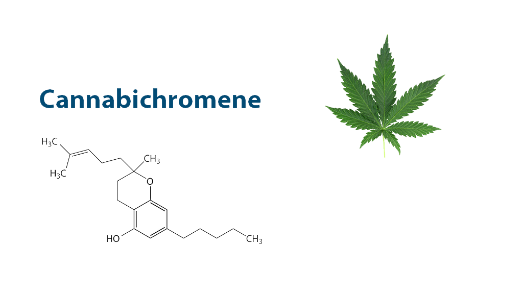 cannabichromene-cbc-review-everything-you-need-to-know.png