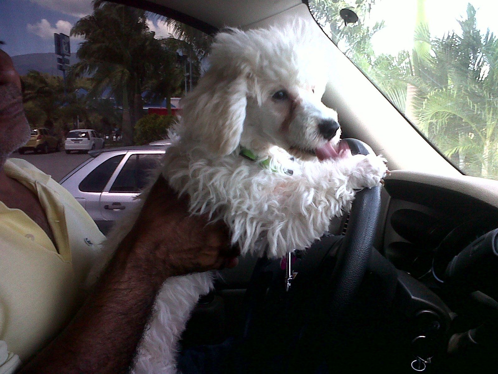 IMG02446-20130929-1235.jpg