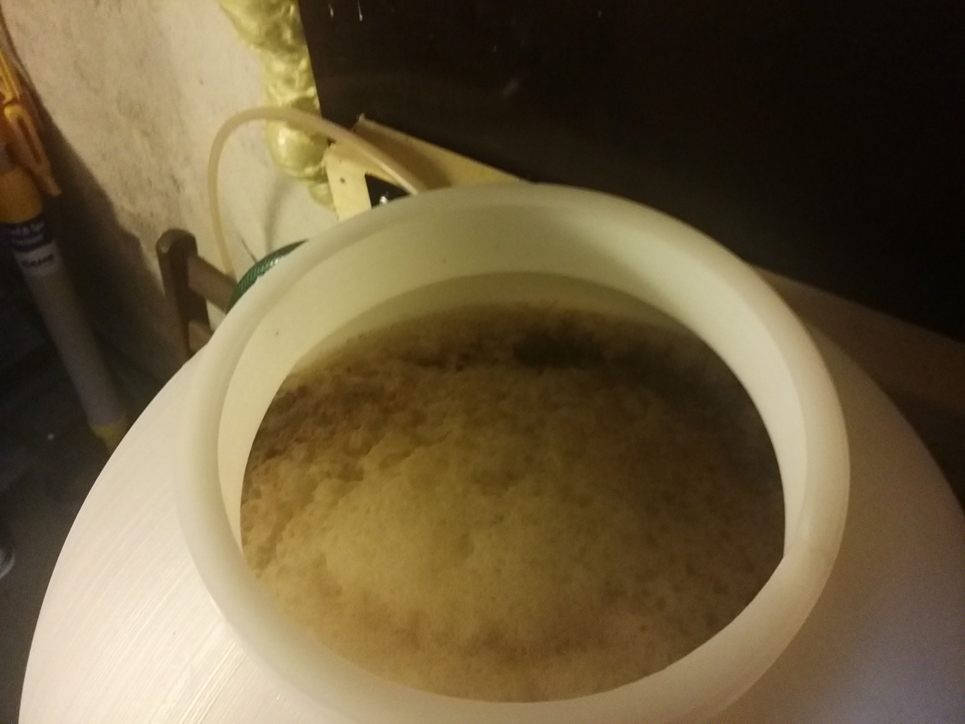 Yeast_fermenting.jpg