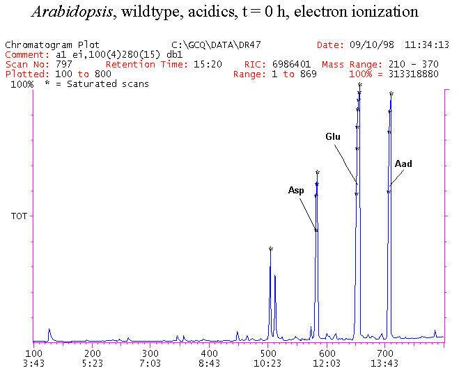 Slide6.GIF