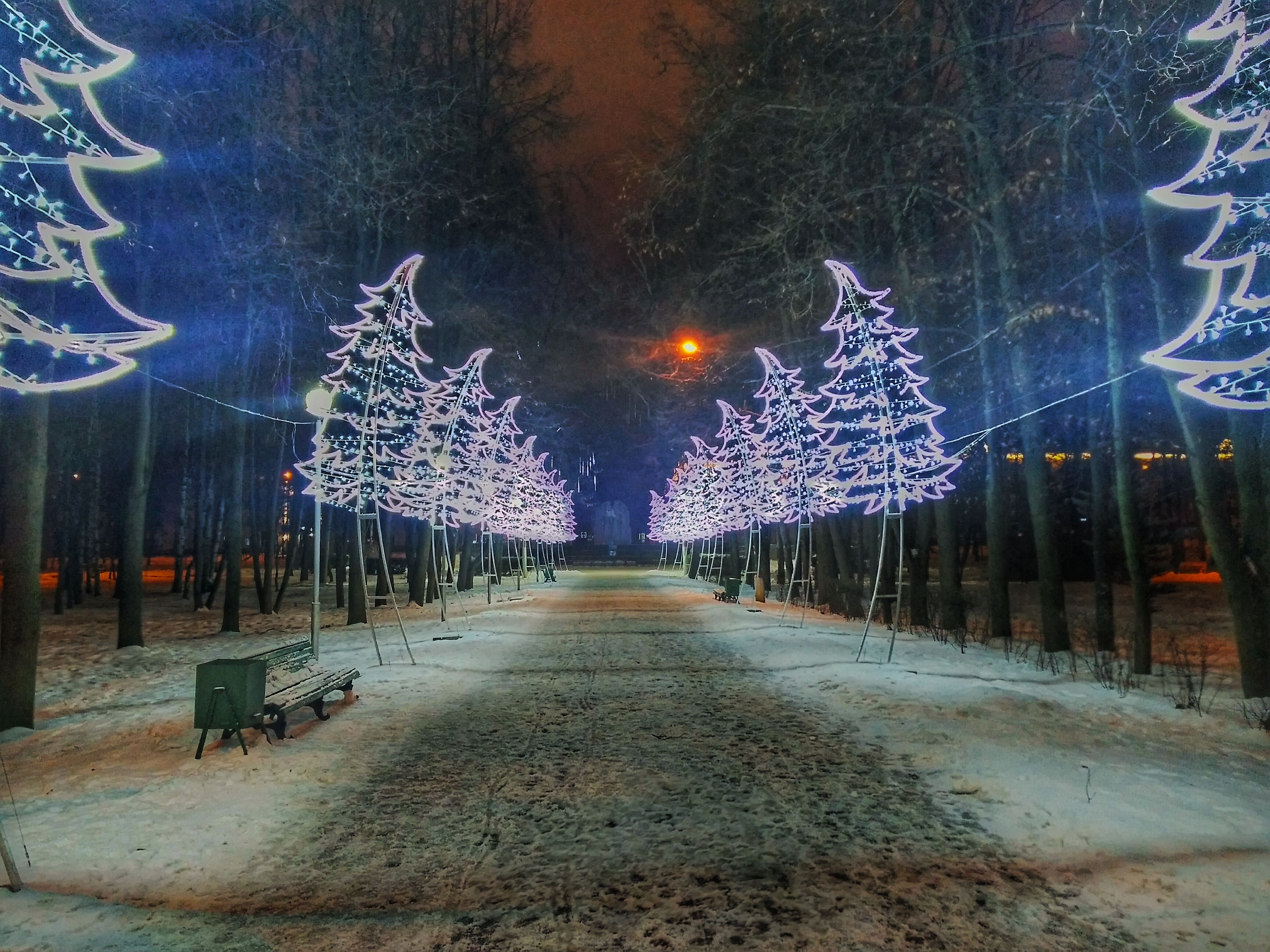 20171205_224152_HDR-01.jpeg