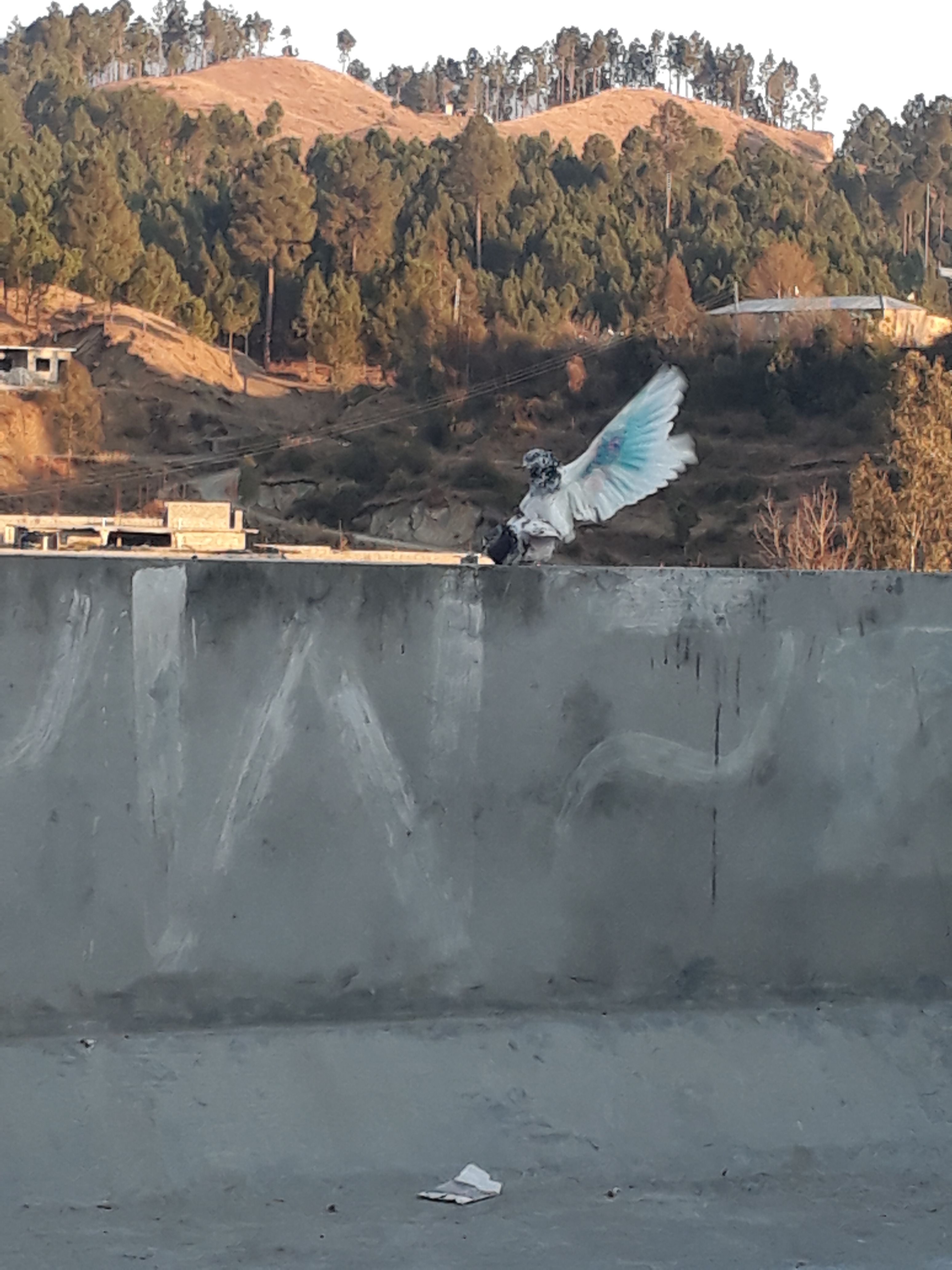 20180307_174142.jpg