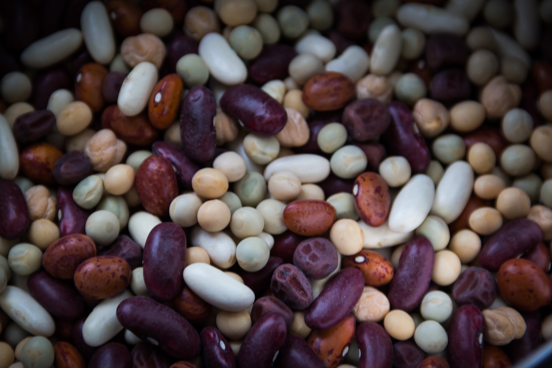 dried-beans-763158_1920.jpg