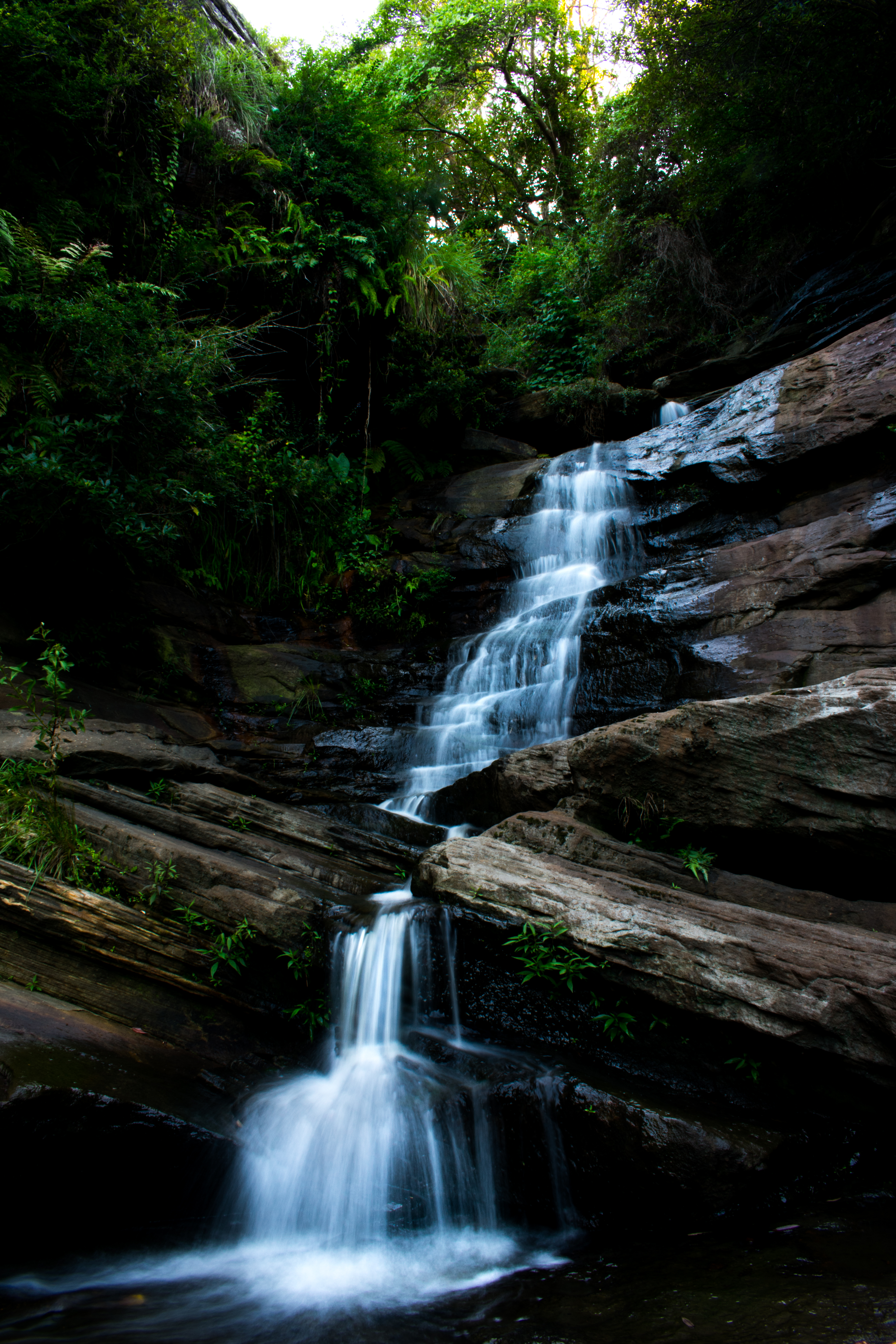 oxfordfalls (1 of 1).jpg