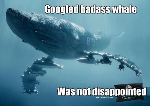 badass whale.jpg