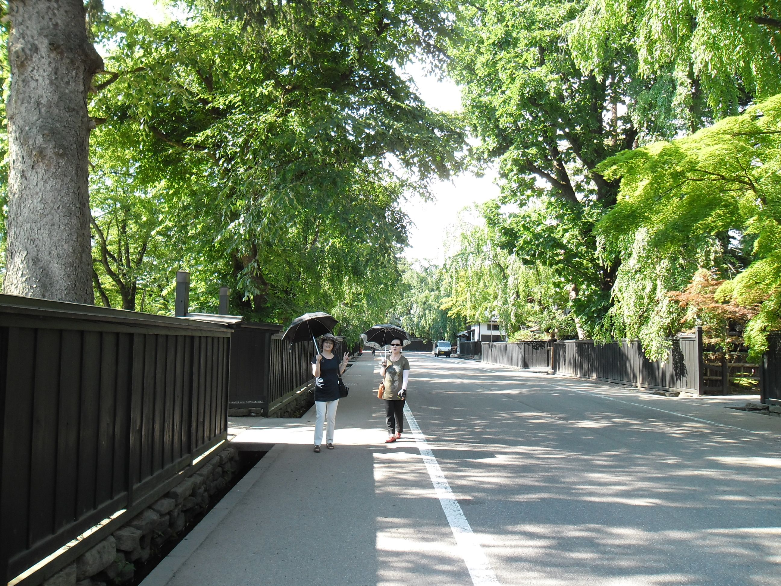 SAM_0270 Old Samurai Street, Kakunodate, Akita.JPG