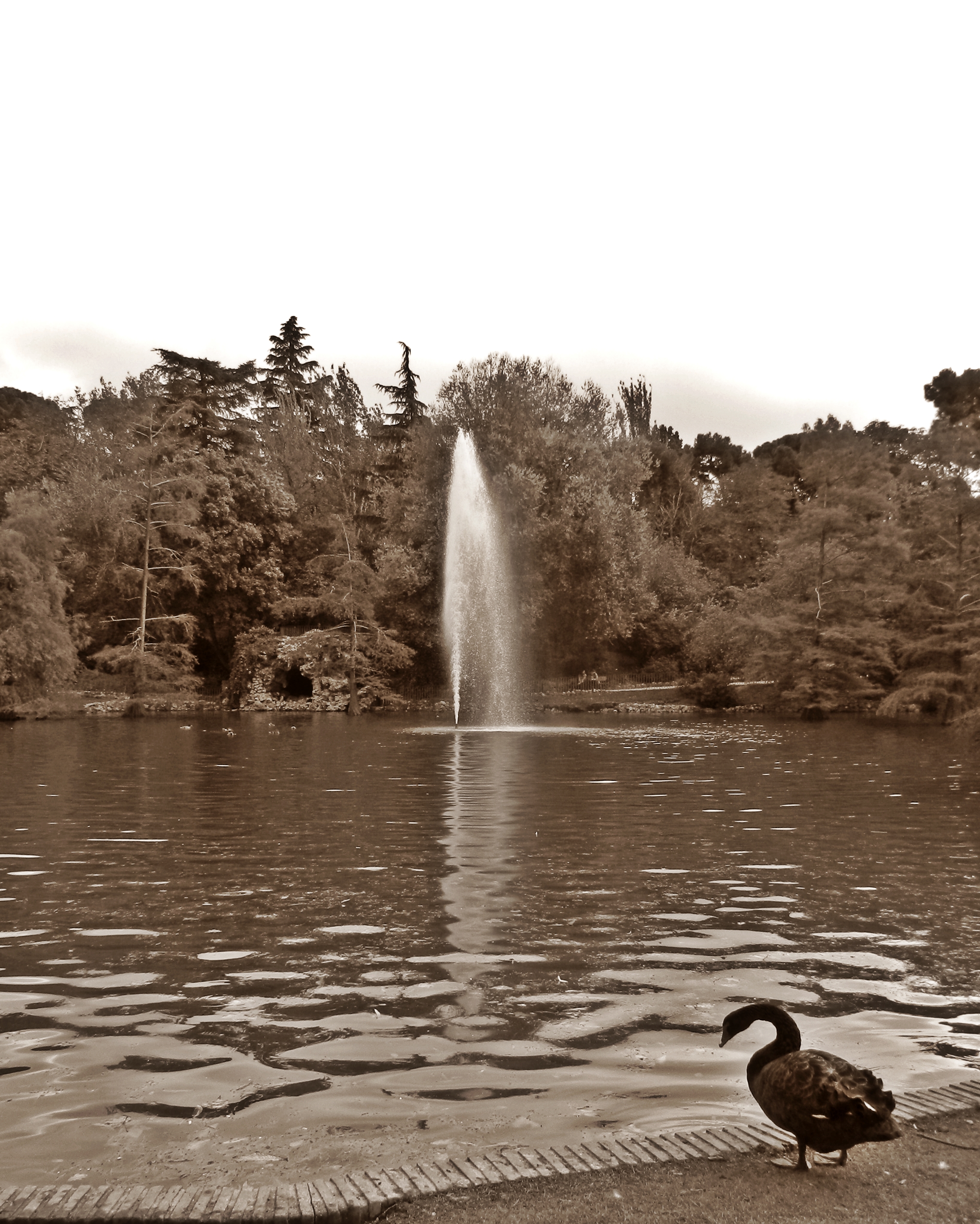 DSCN7629.JPG