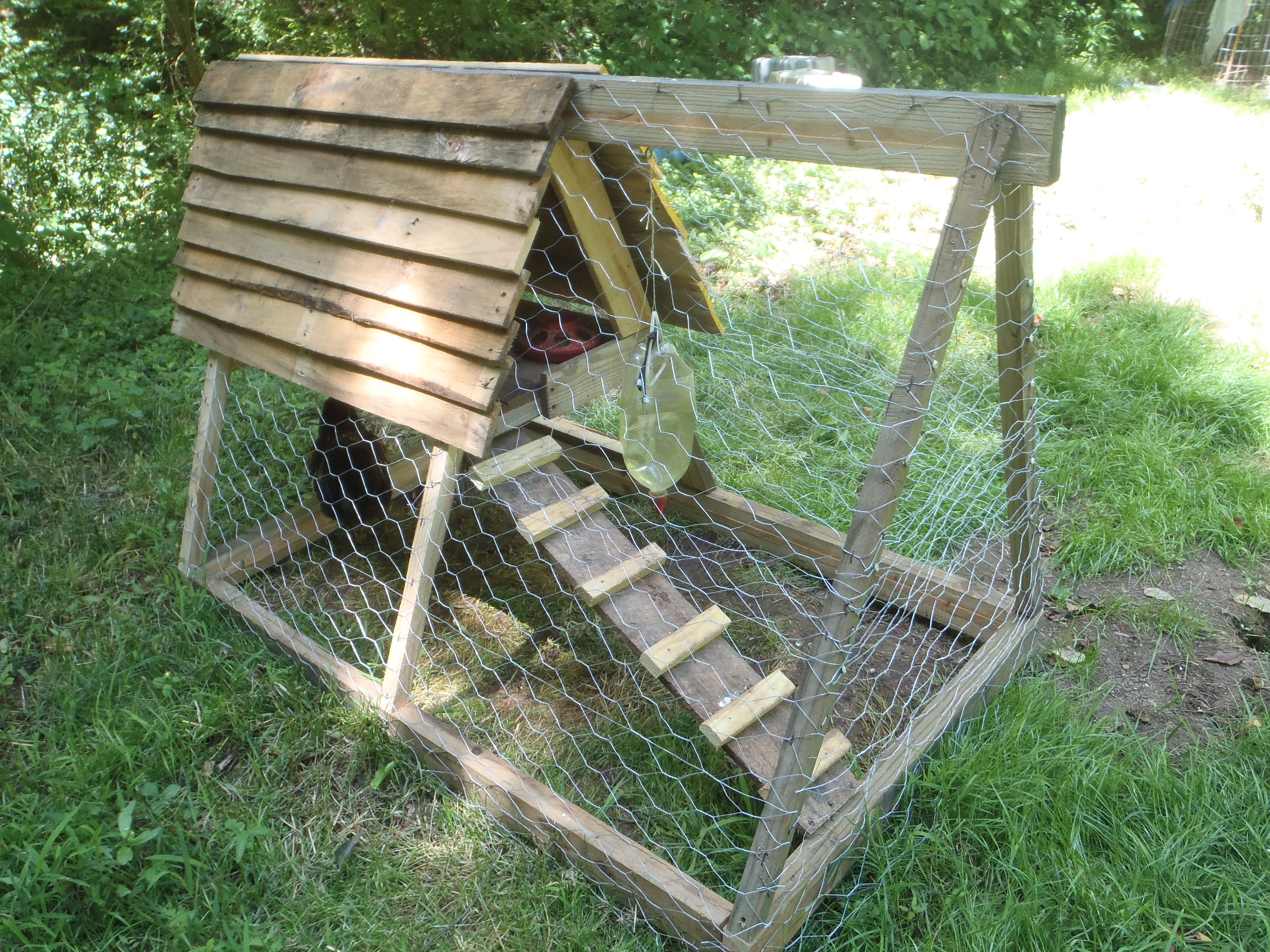 15 A Frame Chicken Coop Rabbit Pen Steemit