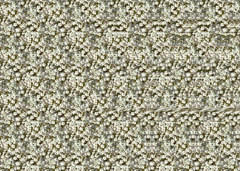 stereogram007.png