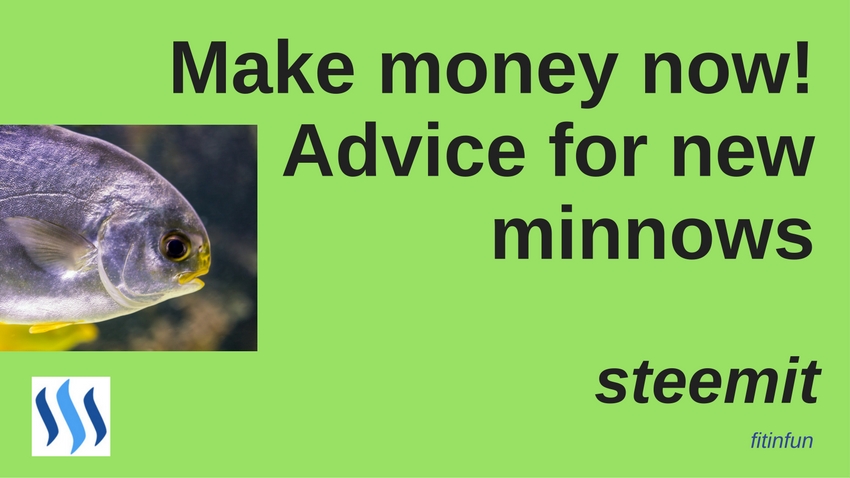 fitinfun How to make money as a new minnow on steemit.jpg