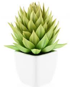 great nature plant.png
