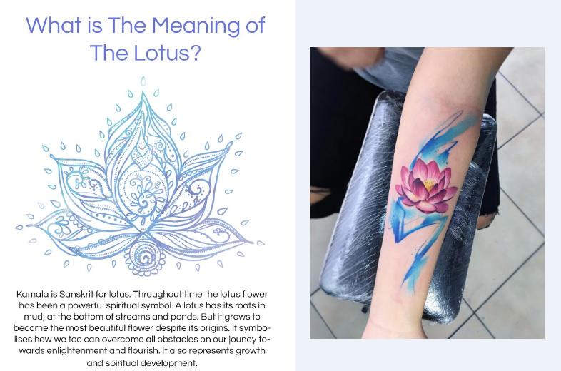 lotus flower.jpg