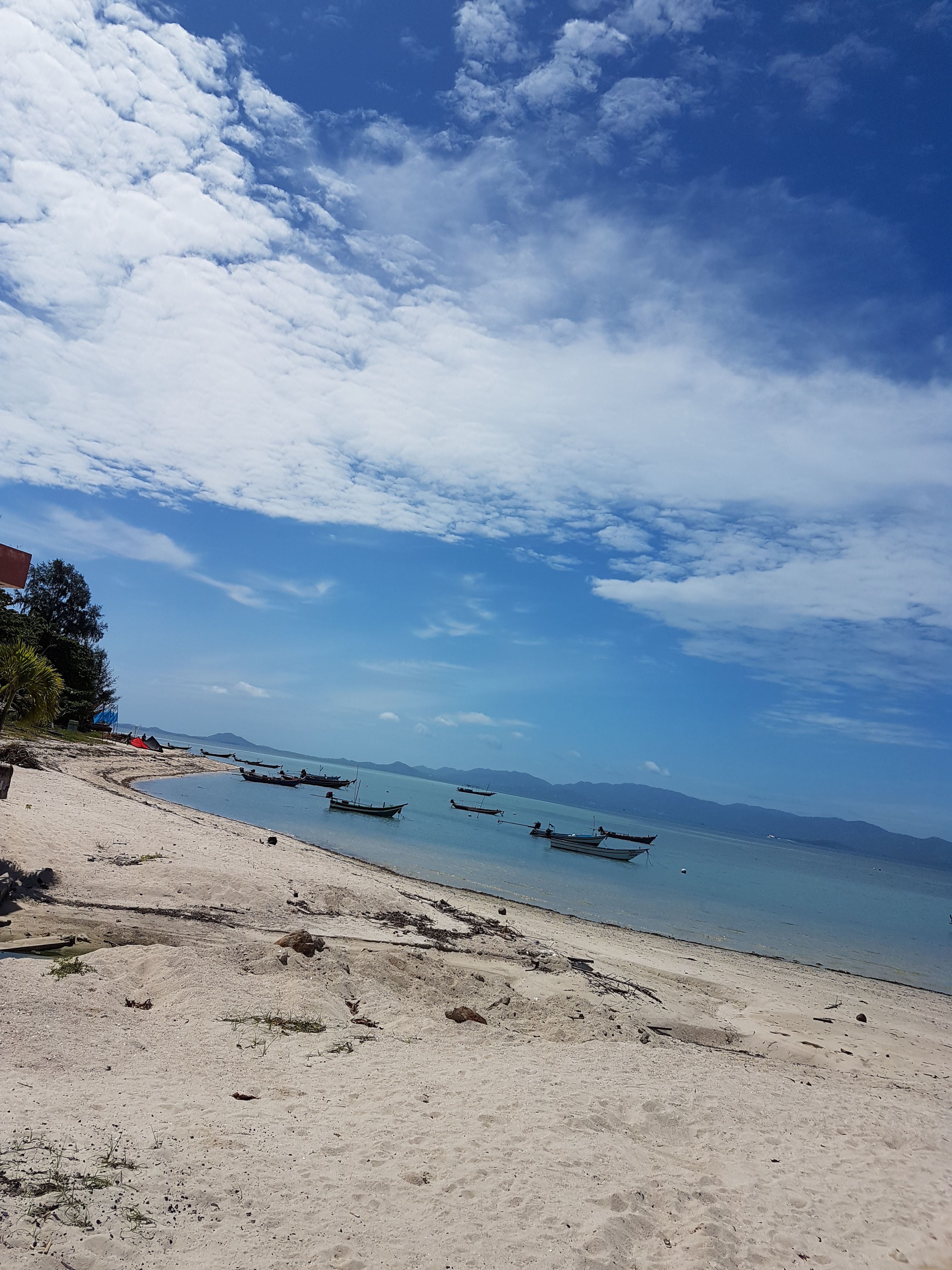 20170927_104056.jpg