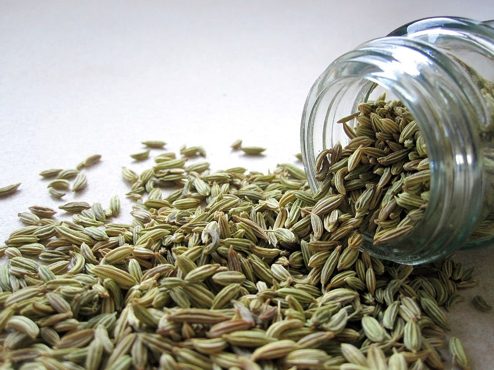 Fennel seeds.jpg