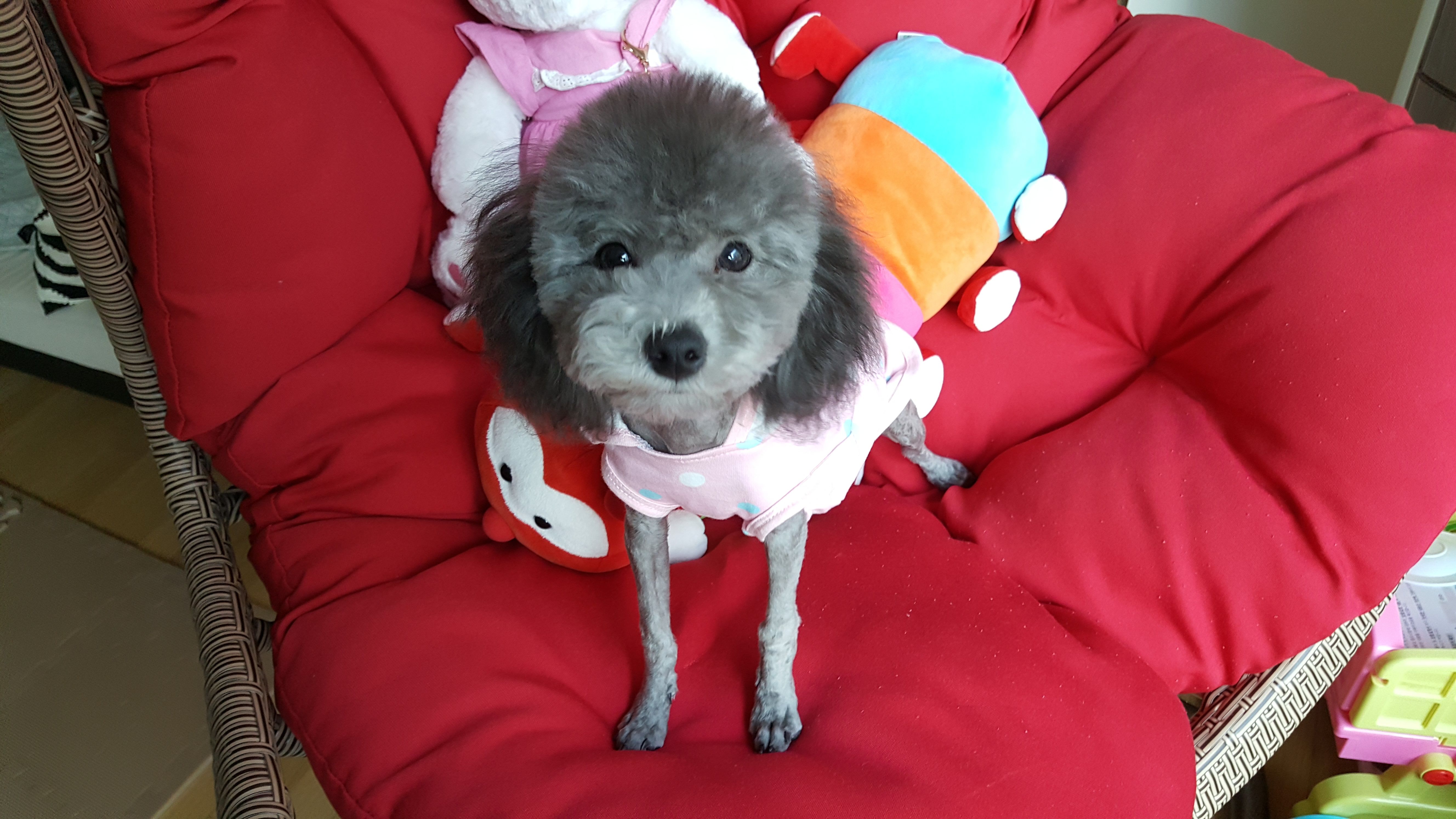20180317_165030.jpg