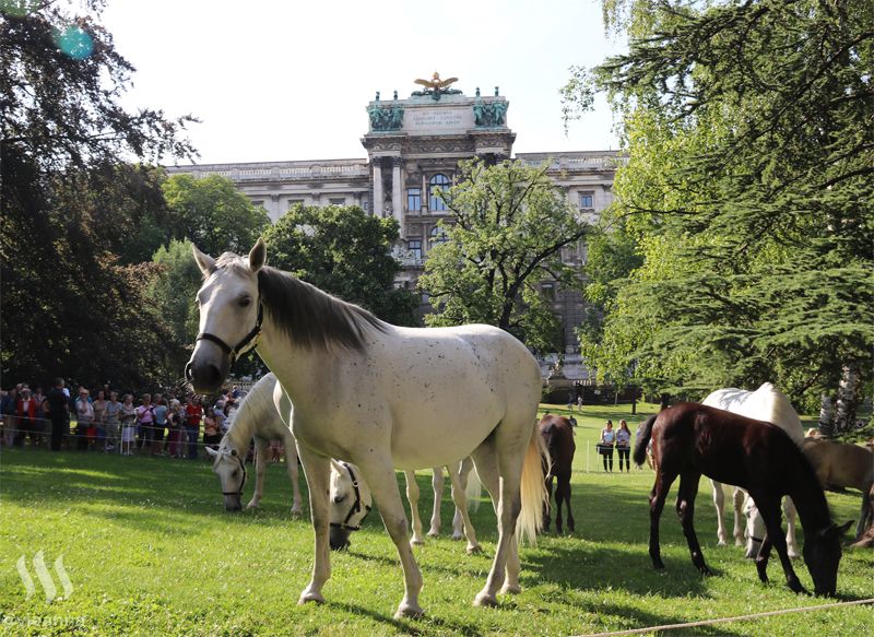 hofburg.jpg