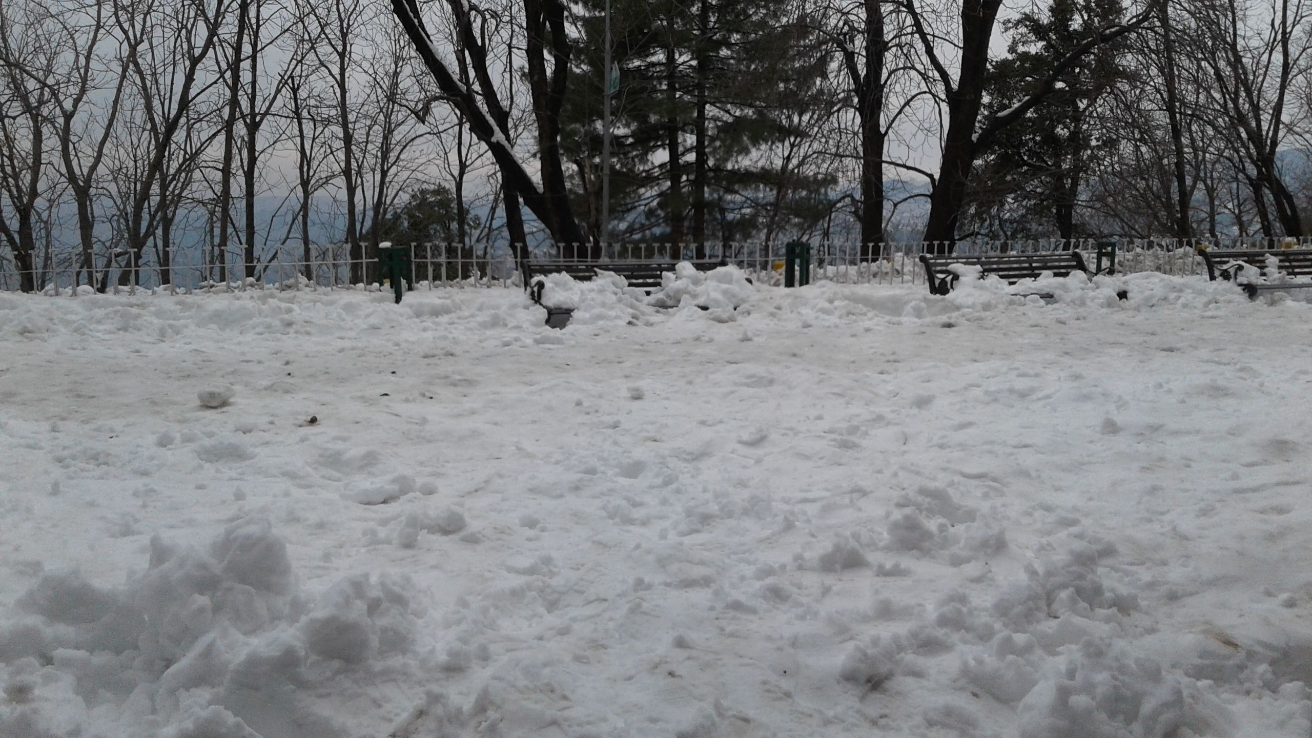 20180214_155143.jpg