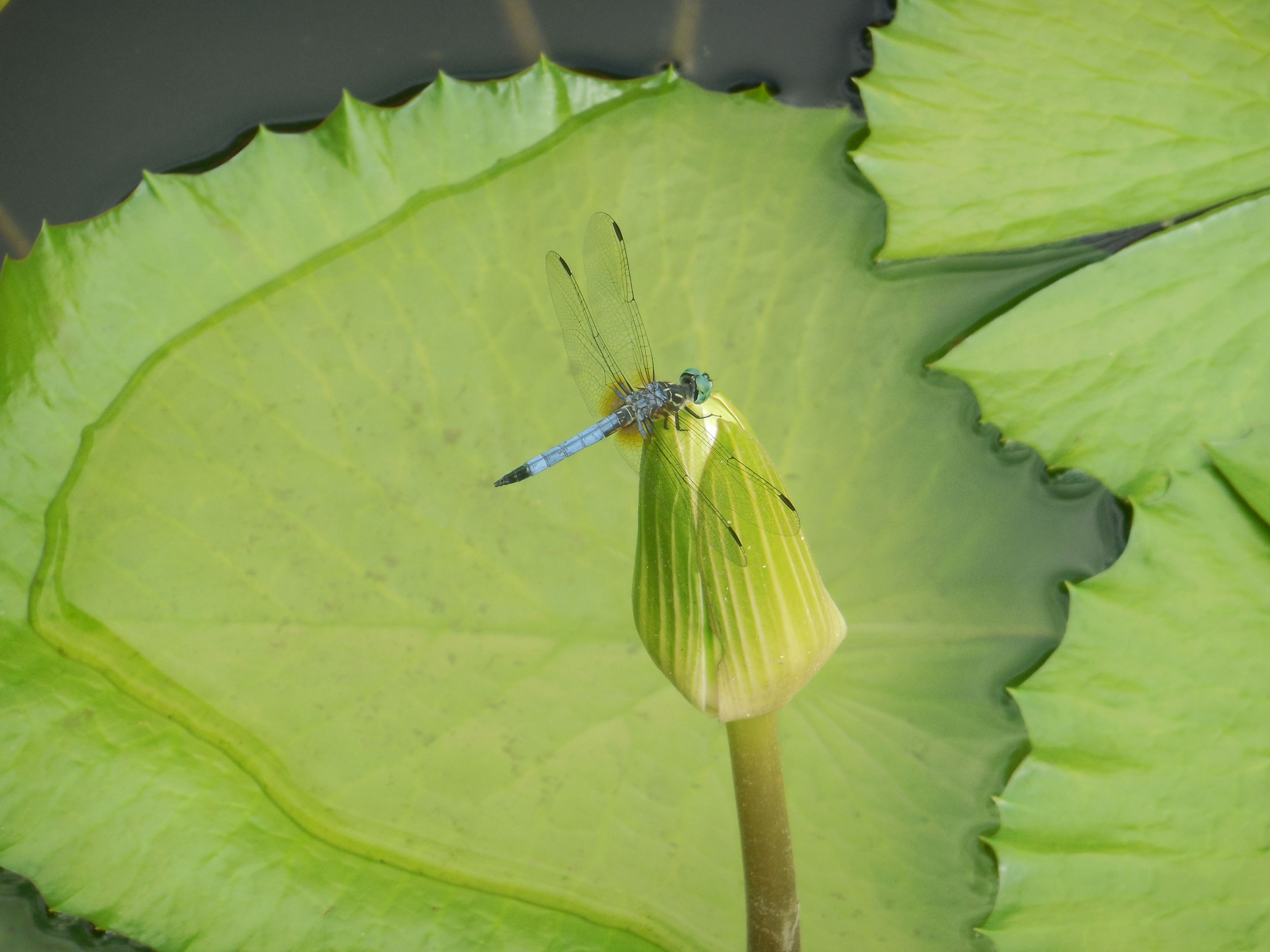 DSCN2314.JPG