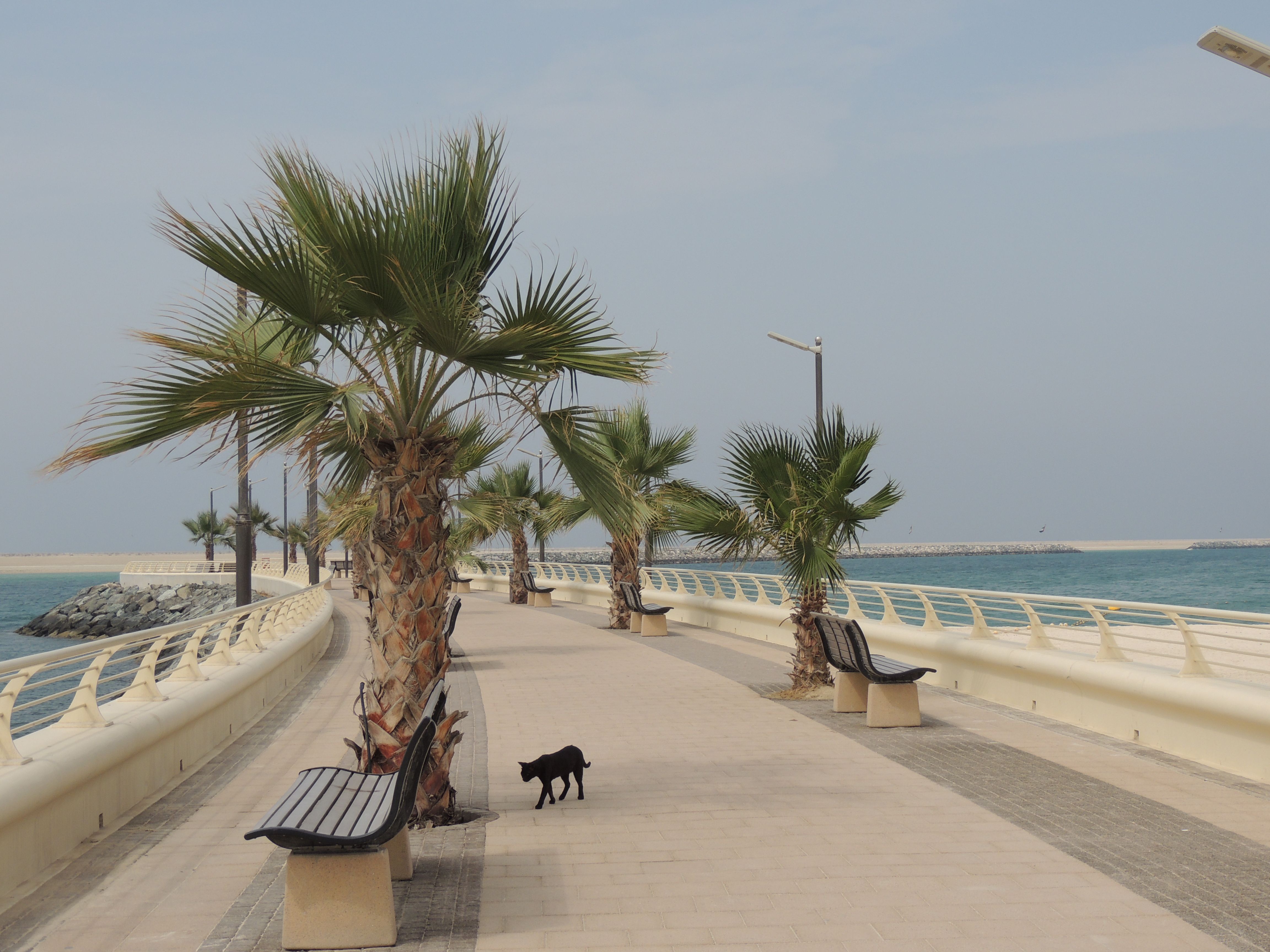 Al Mamzar Beach Park Dubai Steemit