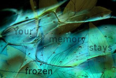frozen memorythumb.jpg