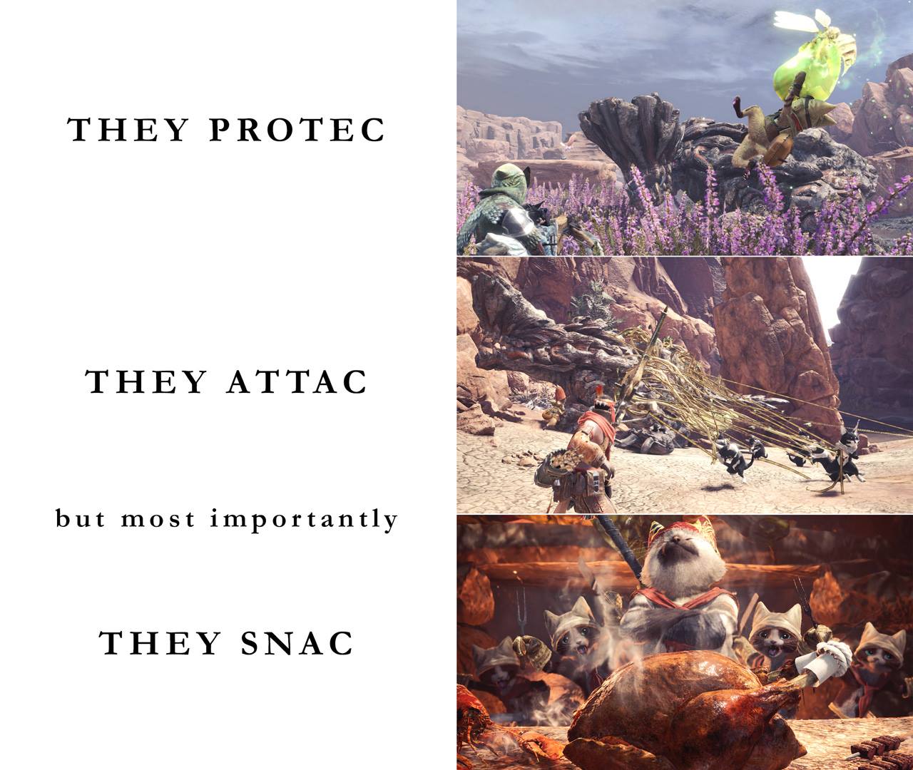 Cat Palico Protec Attac Snak.jpg