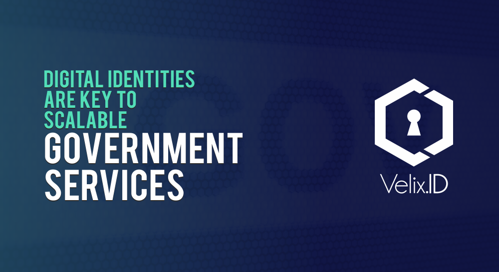 Copy of Copy of DI Government Services.png