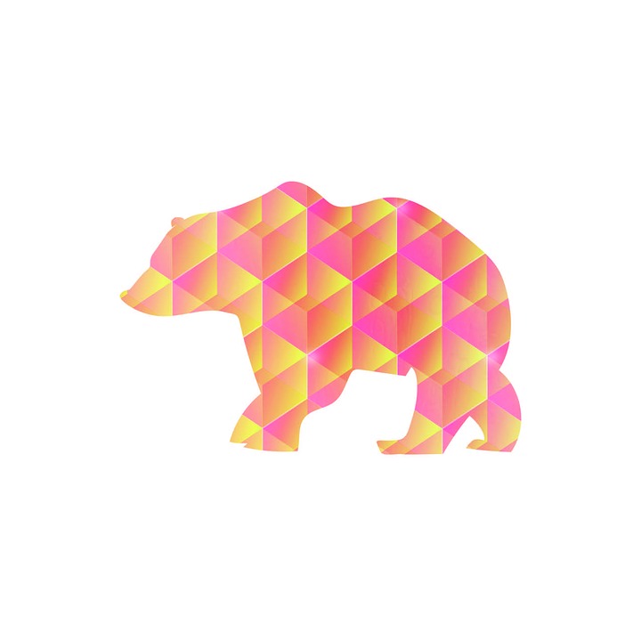 bear-2336255_960_720.jpg