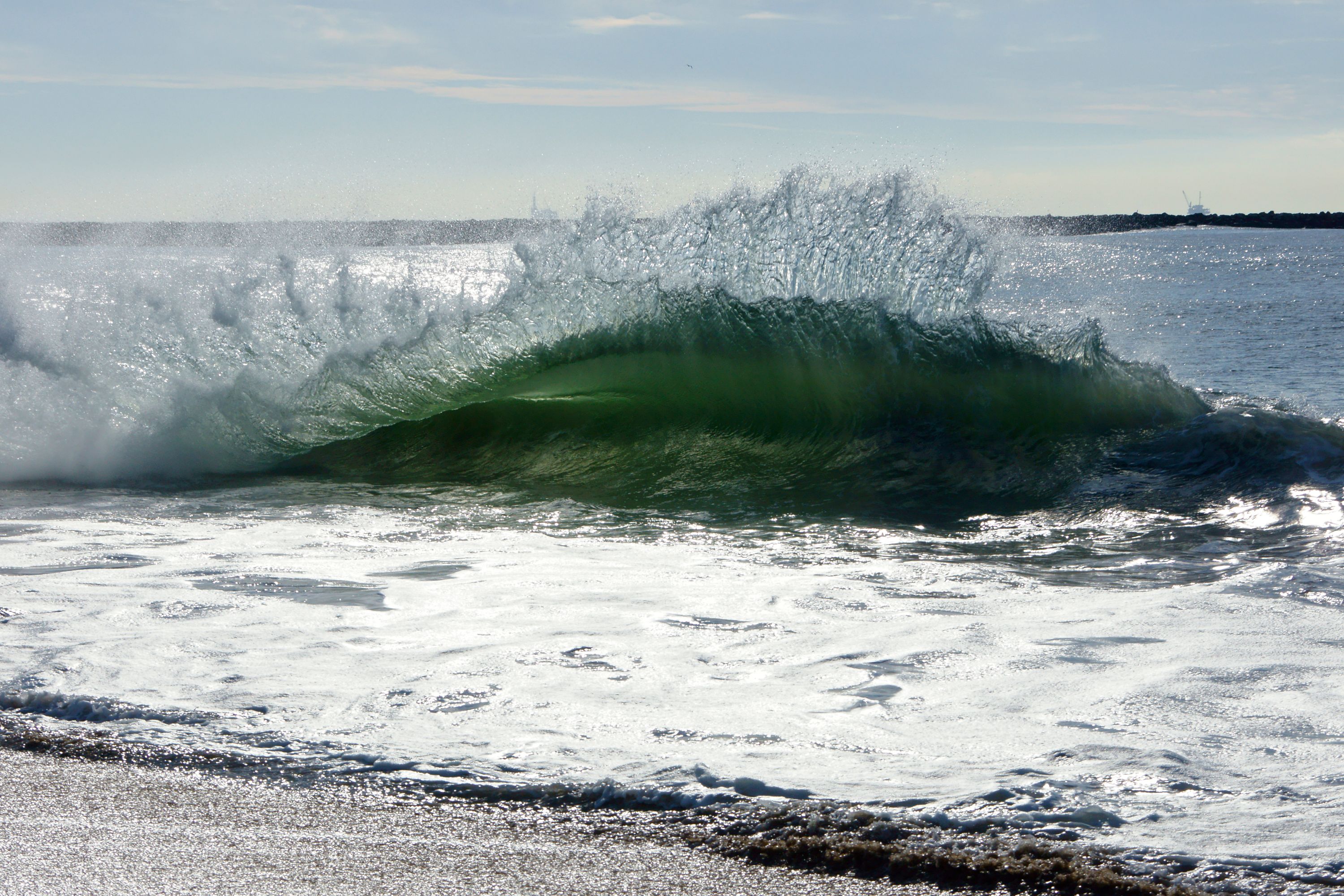 _DSC9894.JPG