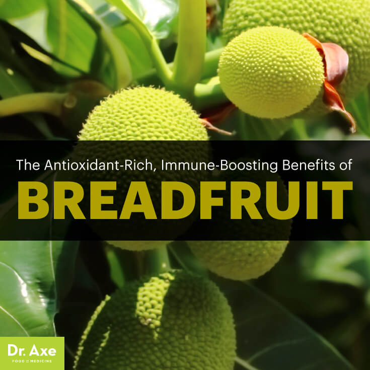 Breadfruit-ArticleMeme-1.jpg