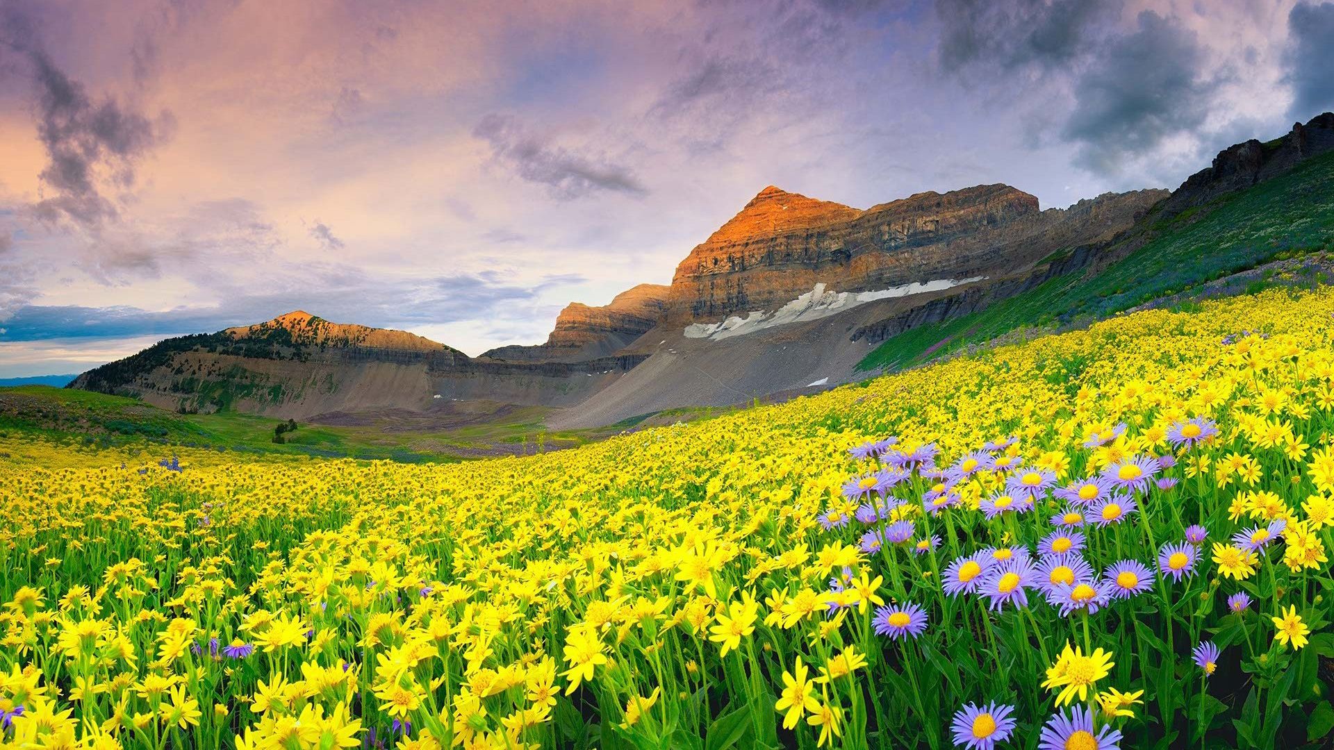 Best-Nature-Hd-In-With-Valley-Of-Flowers-National-Desktop-Place-Images-Pc-High-Quality.jpg