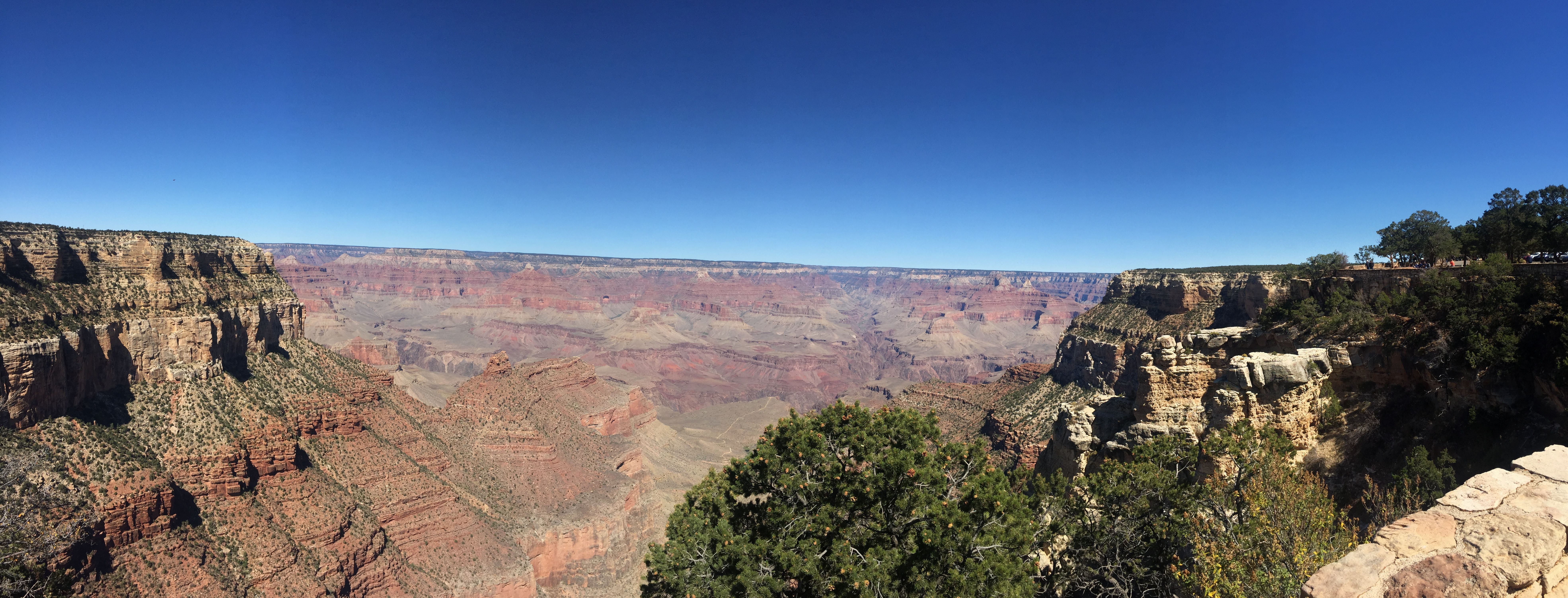 IMG_8864.JPG