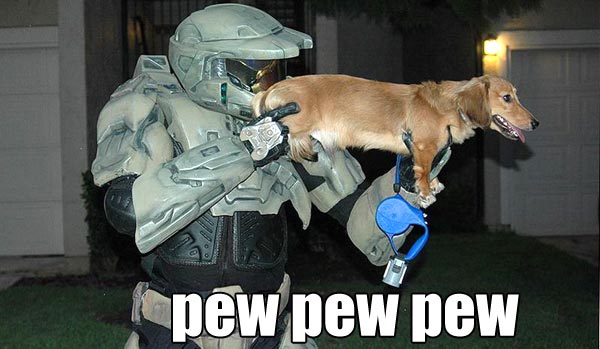 Halo-Dog-Pew-pew-pew.jpg