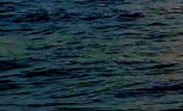 Watersunset.PNG