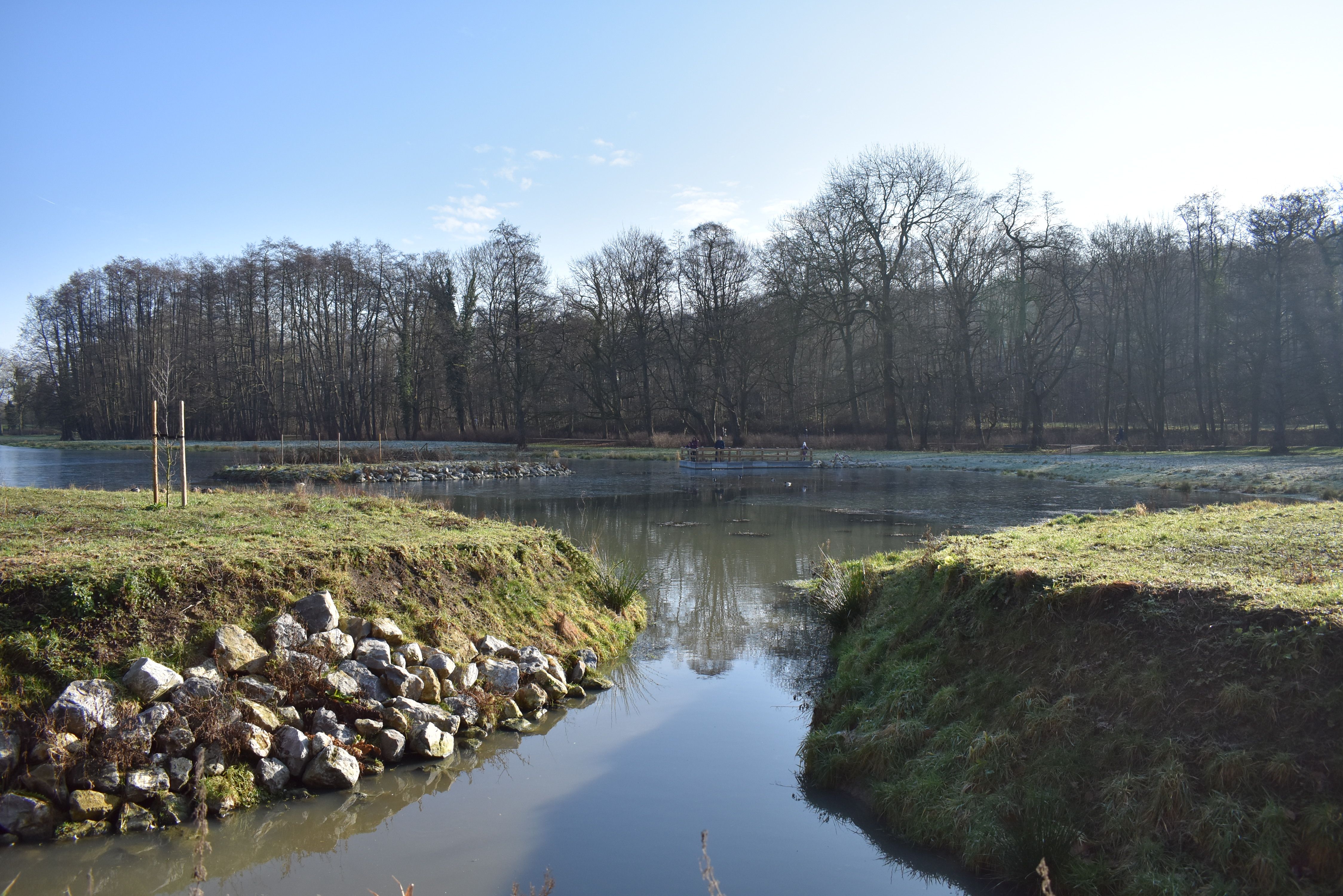 DSC_0174.JPG