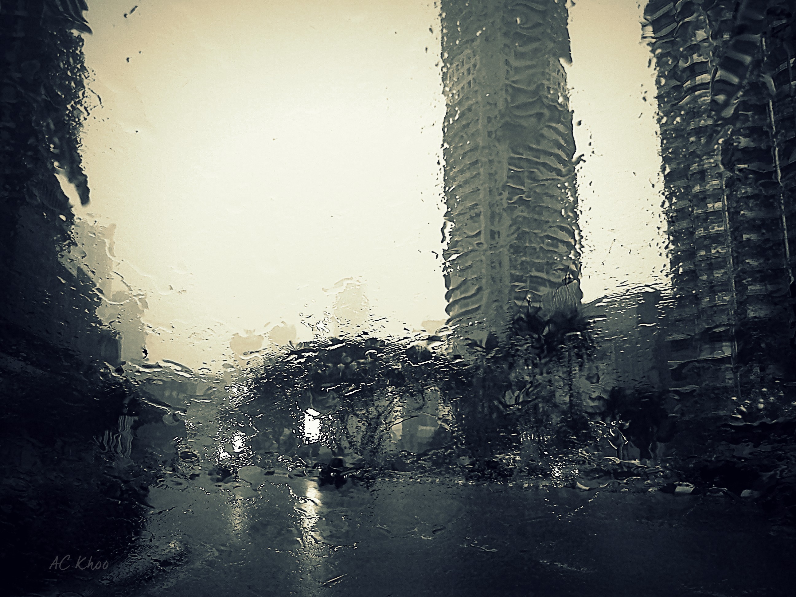 DSC_rain1a.jpg