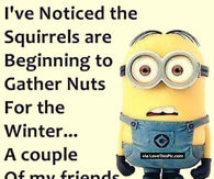 218144-Funny-Winter-Minion-Quote-About-Being-Crazy.jpg