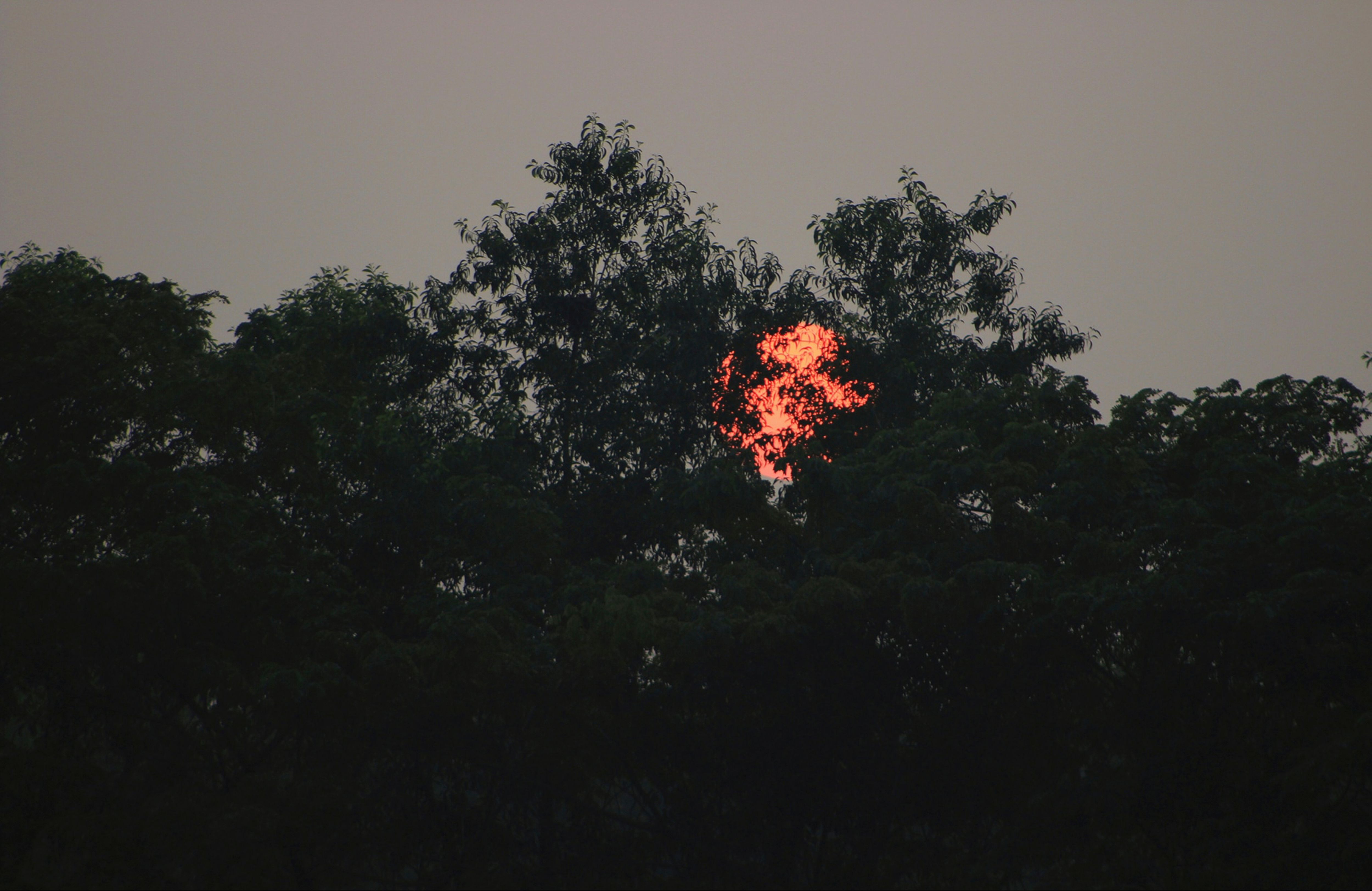Sundown.jpg