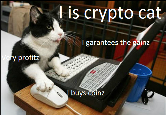 crypto cat.png