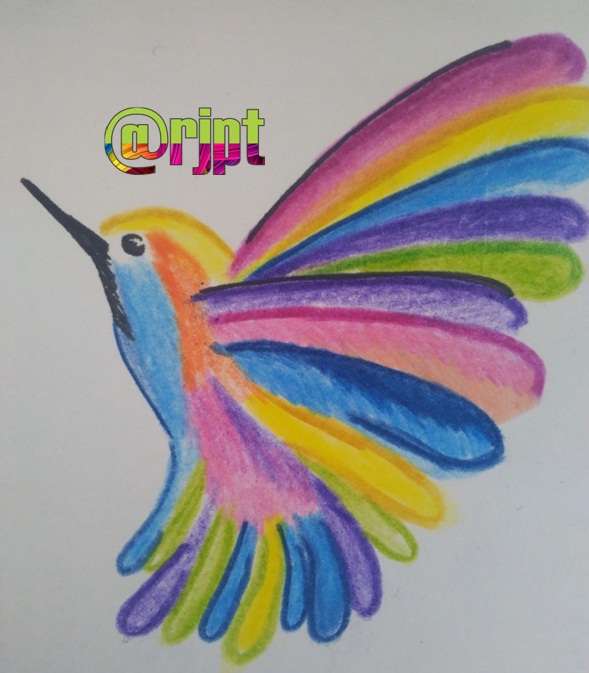  Dibujo de un colibrí en colores — Steemit