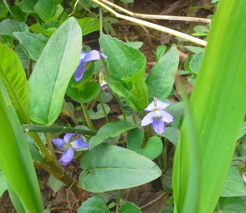 20150412_123243.jpg