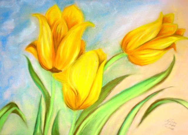 tulipany 73 x57.jpg