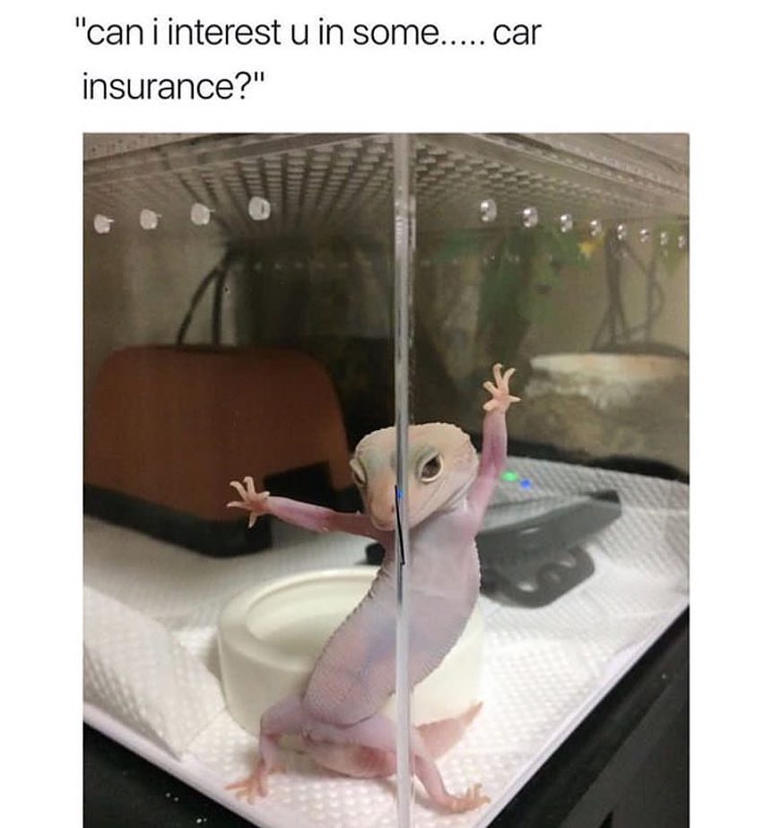 1512625516307.jpeg