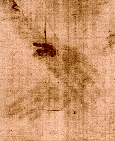 leonardo-da-vinci-shroud-of-turin-hands-wrists.jpg