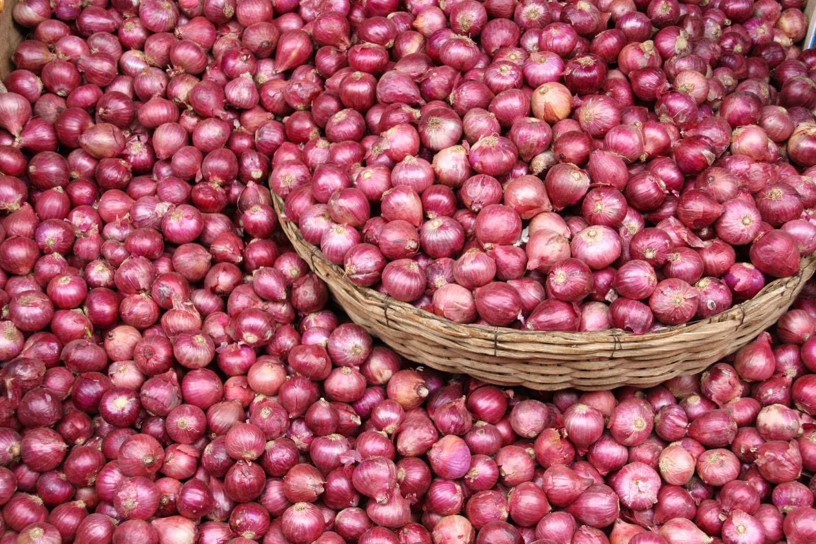 Onions-Farming.jpg